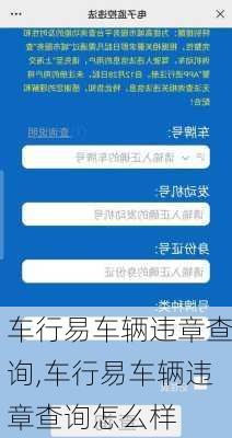 车行易车辆违章查询,车行易车辆违章查询怎么样
