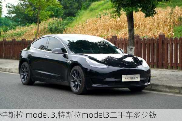 特斯拉 model 3,特斯拉model3二手车多少钱