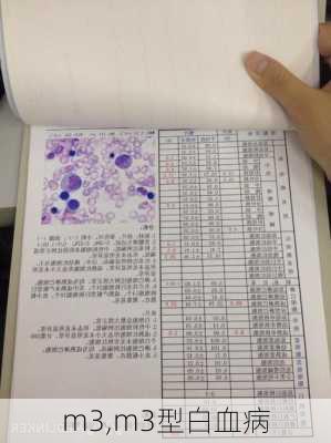 m3,m3型白血病