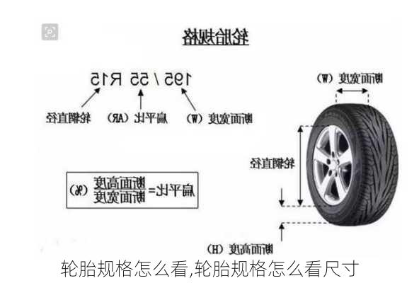 轮胎规格怎么看,轮胎规格怎么看尺寸