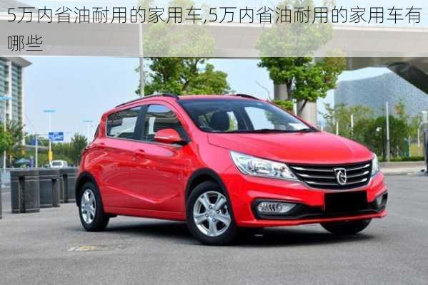 5万内省油耐用的家用车,5万内省油耐用的家用车有哪些