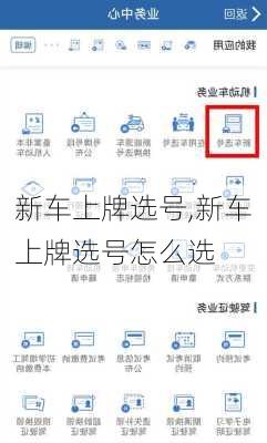 新车上牌选号,新车上牌选号怎么选