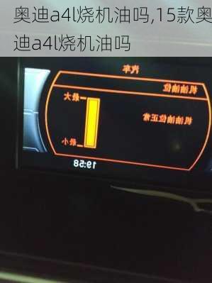 奥迪a4l烧机油吗,15款奥迪a4l烧机油吗