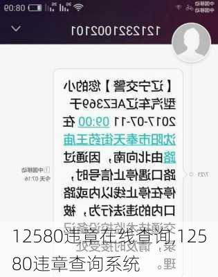 12580违章在线查询,12580违章查询系统