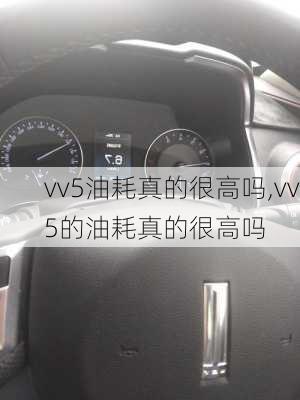 vv5油耗真的很高吗,vv5的油耗真的很高吗