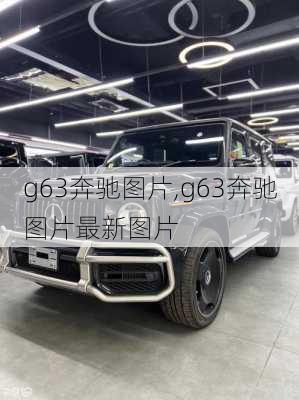 g63奔驰图片,g63奔驰图片最新图片