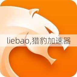 liebao,猎豹加速器