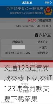 交通123违章罚款交费下载,交通123违章罚款交费下载苹果