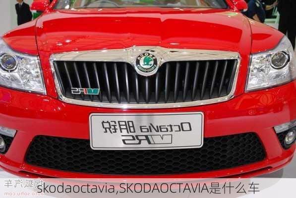 skodaoctavia,SKODAOCTAVIA是什么车