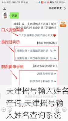 天津摇号输入姓名查询,天津摇号输入姓名查询系统