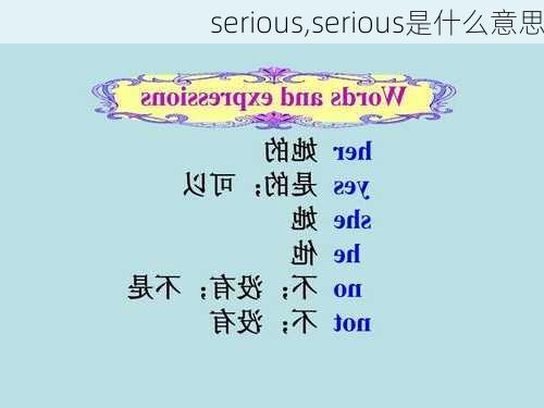 serious,serious是什么意思