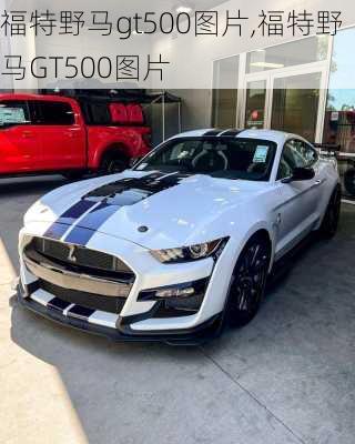 福特野马gt500图片,福特野马GT500图片