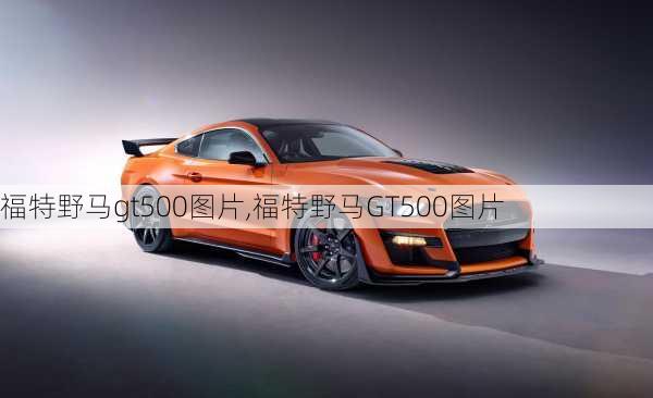 福特野马gt500图片,福特野马GT500图片