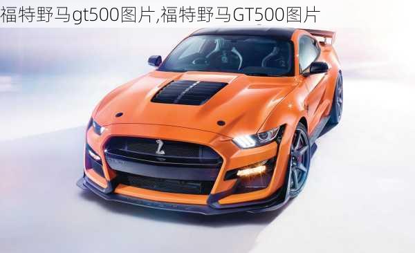 福特野马gt500图片,福特野马GT500图片