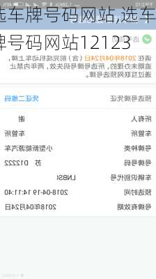 选车牌号码网站,选车牌号码网站12123