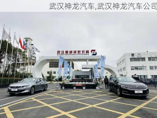 武汉神龙汽车,武汉神龙汽车公司