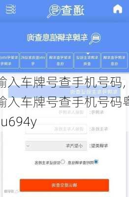 输入车牌号查手机号码,输入车牌号查手机号码粤su694y