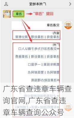 广东省查违章车辆查询官网,广东省查违章车辆查询公众号