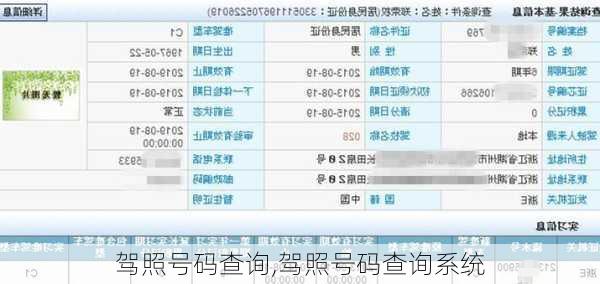 驾照号码查询,驾照号码查询系统