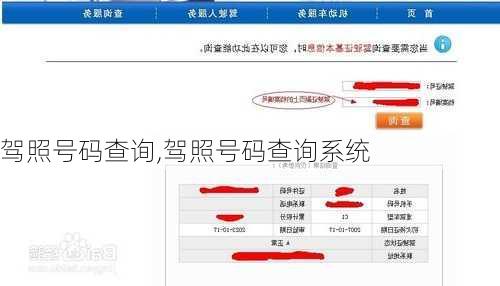 驾照号码查询,驾照号码查询系统