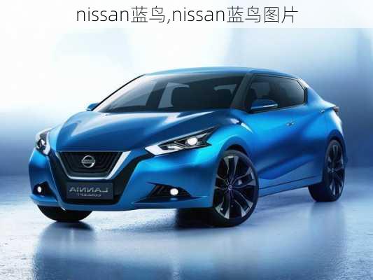 nissan蓝鸟,nissan蓝鸟图片