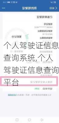 个人驾驶证信息查询系统,个人驾驶证信息查询平台