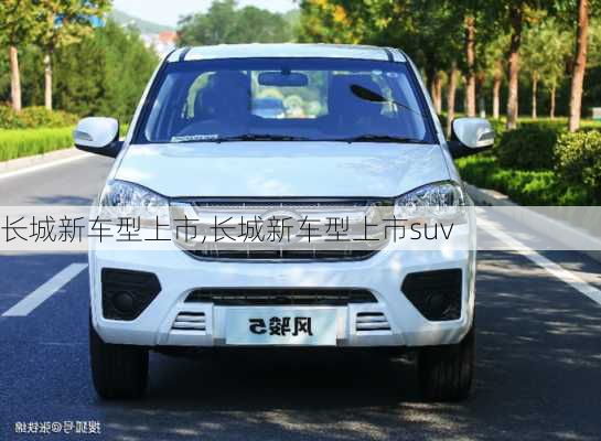 长城新车型上市,长城新车型上市suv