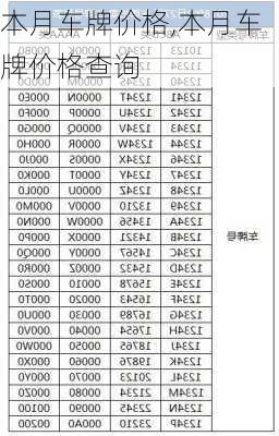 本月车牌价格,本月车牌价格查询