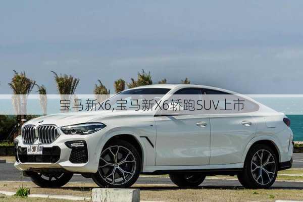 宝马新x6,宝马新X6轿跑SUV上市