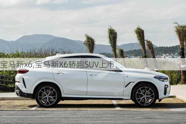 宝马新x6,宝马新X6轿跑SUV上市