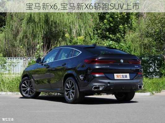 宝马新x6,宝马新X6轿跑SUV上市