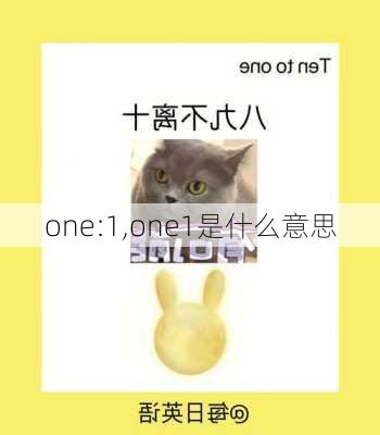 one:1,one1是什么意思