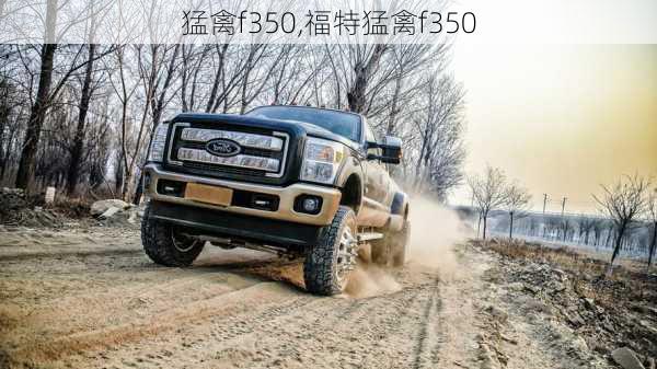 猛禽f350,福特猛禽f350