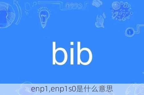 enp1,enp1s0是什么意思