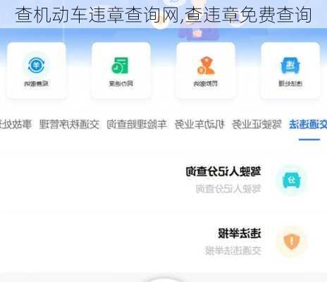 查机动车违章查询网,查违章免费查询