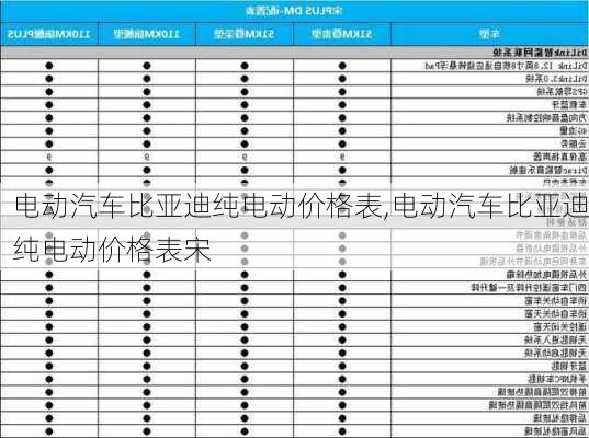 电动汽车比亚迪纯电动价格表,电动汽车比亚迪纯电动价格表宋