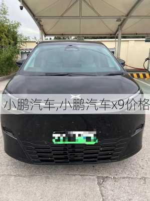 小鹏汽车,小鹏汽车x9价格