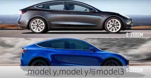 model y,model y与model3