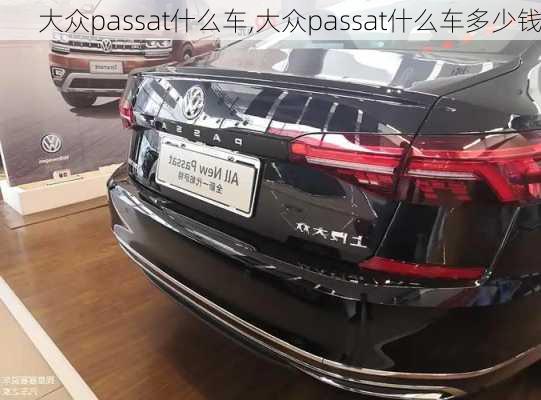 大众passat什么车,大众passat什么车多少钱