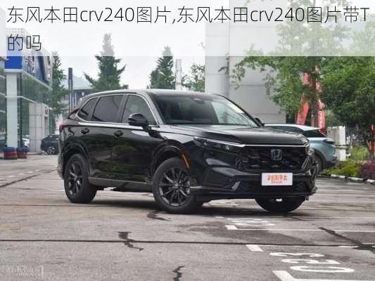 东风本田crv240图片,东风本田crv240图片带T的吗