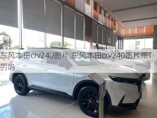 东风本田crv240图片,东风本田crv240图片带T的吗