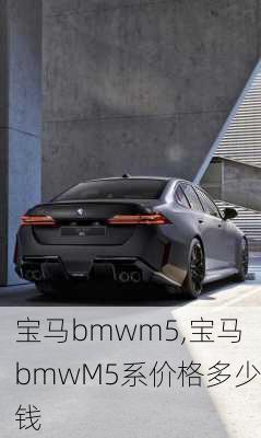 宝马bmwm5,宝马bmwM5系价格多少钱