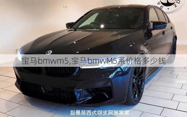 宝马bmwm5,宝马bmwM5系价格多少钱