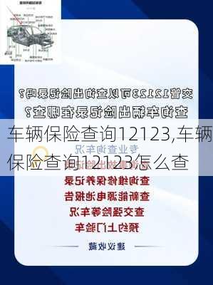 车辆保险查询12123,车辆保险查询12123怎么查