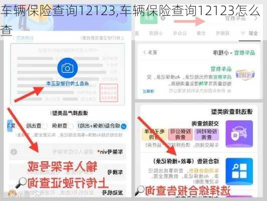 车辆保险查询12123,车辆保险查询12123怎么查