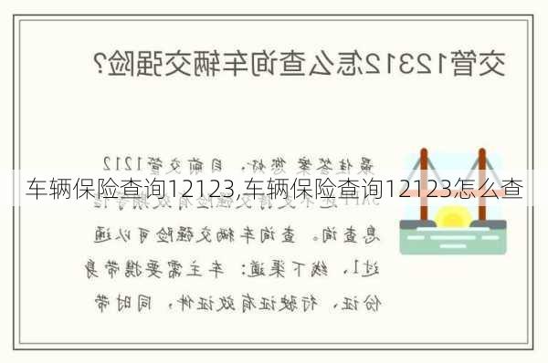 车辆保险查询12123,车辆保险查询12123怎么查