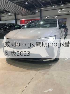 威朗pro gs,威朗progs猎风版2023