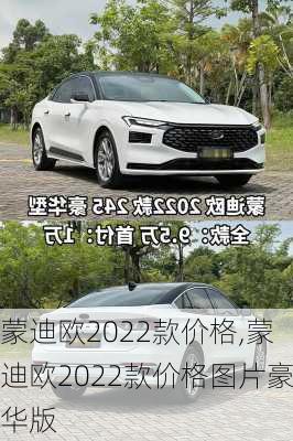 蒙迪欧2022款价格,蒙迪欧2022款价格图片豪华版