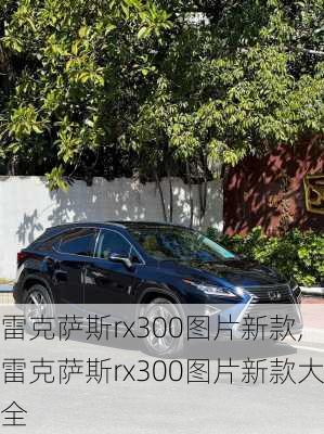 雷克萨斯rx300图片新款,雷克萨斯rx300图片新款大全