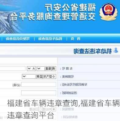 福建省车辆违章查询,福建省车辆违章查询平台